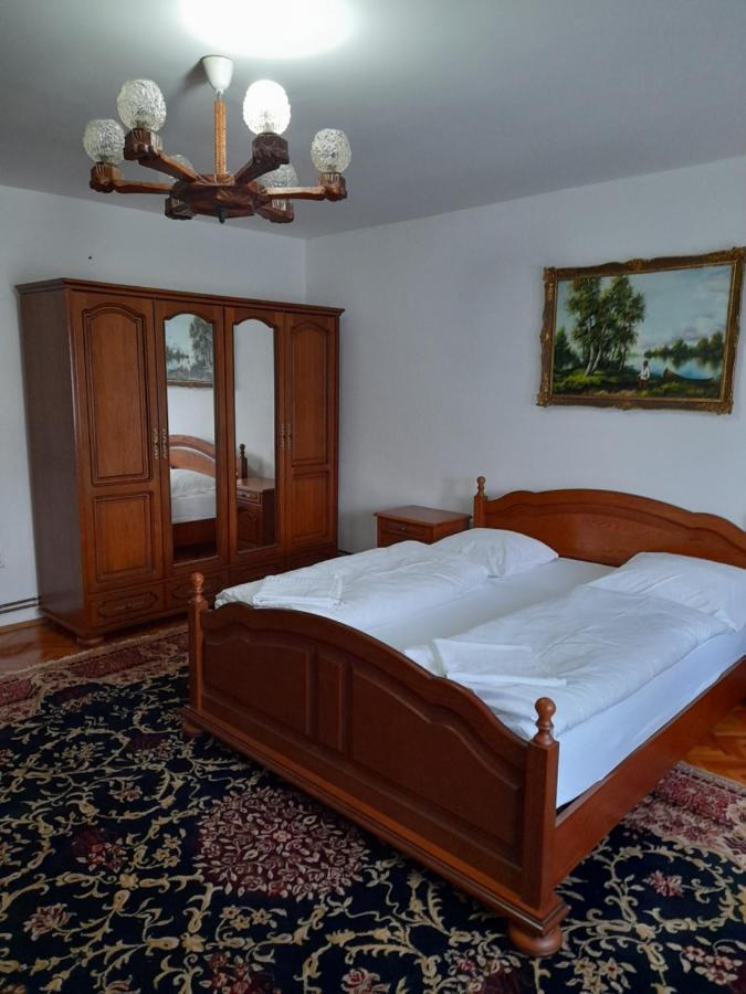 Hotel Casa Miki à Haţeg Extérieur photo