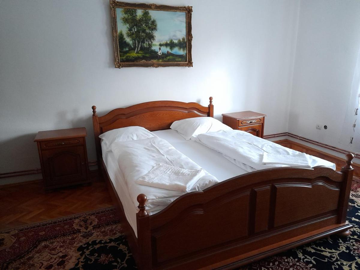 Hotel Casa Miki à Haţeg Extérieur photo