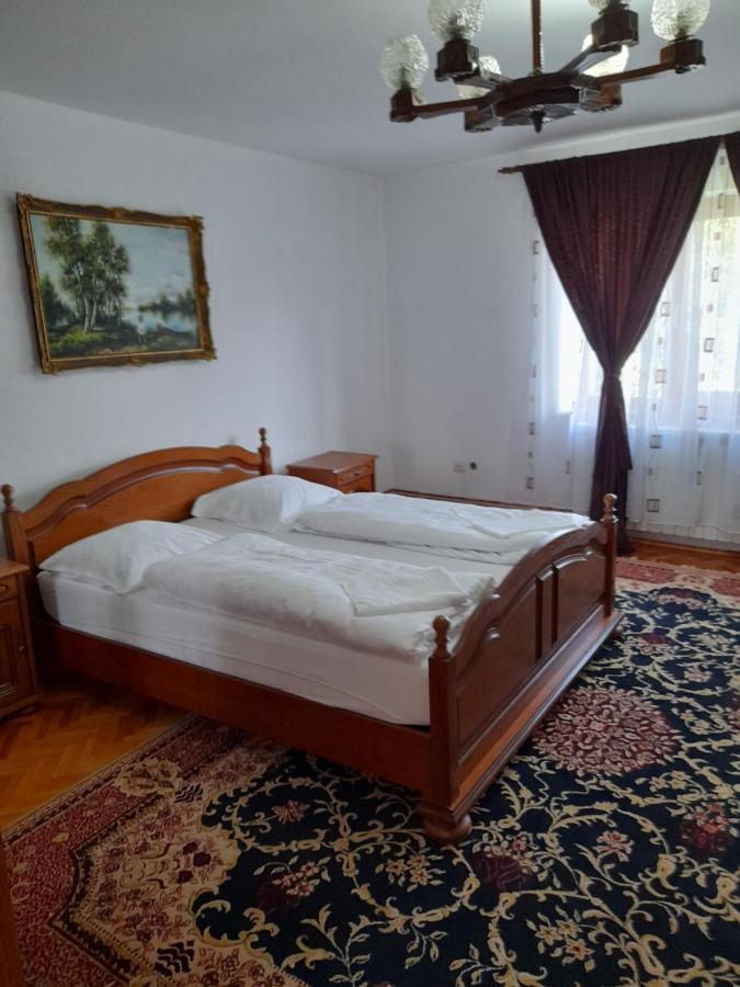 Hotel Casa Miki à Haţeg Extérieur photo