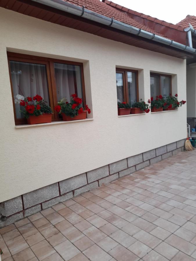 Hotel Casa Miki à Haţeg Extérieur photo