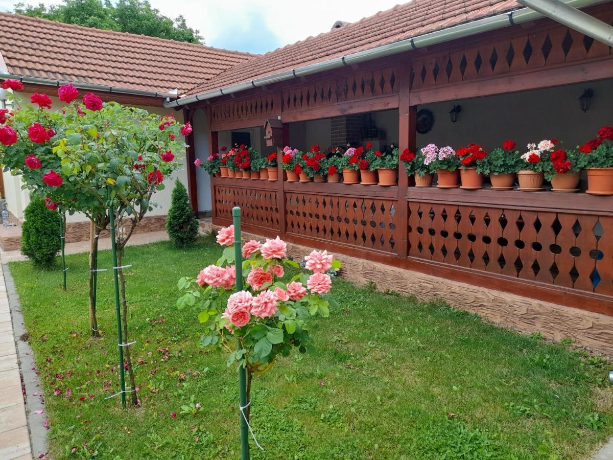 Hotel Casa Miki à Haţeg Extérieur photo