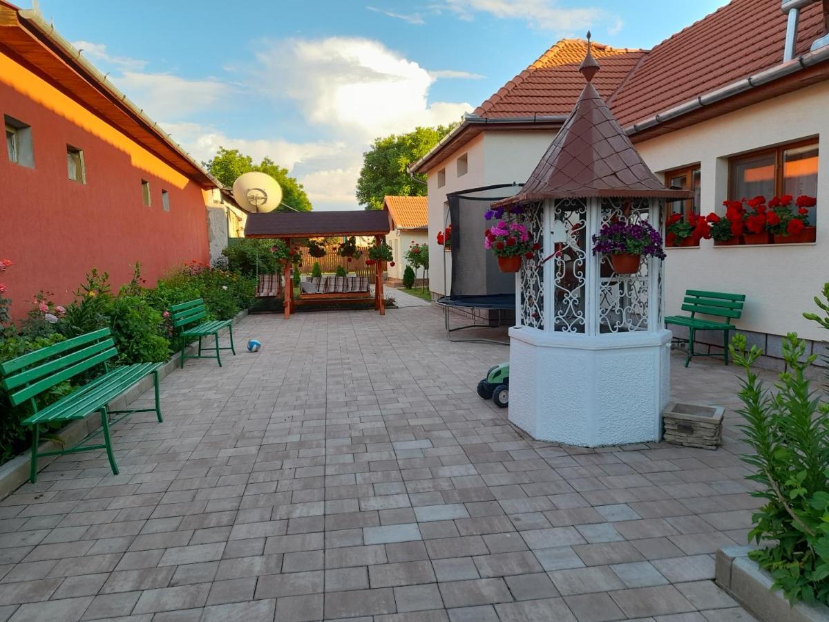 Hotel Casa Miki à Haţeg Extérieur photo